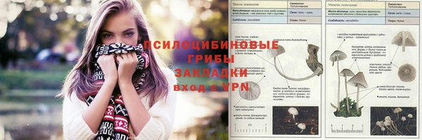 молекула духа Балахна