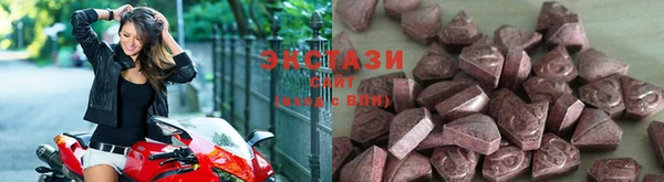 PSILOCYBIN Аркадак
