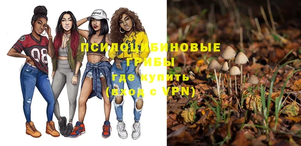 не бодяженный Армянск