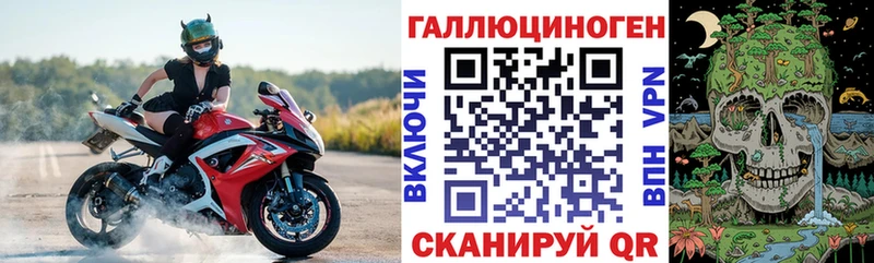 хочу   Темников  Псилоцибиновые грибы Cubensis 