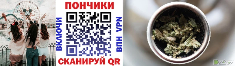Бошки марихуана конопля  закладка  Темников 